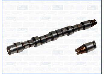 Eksantrik Mili  INA 428 0231 10  801Y4 0801.Y4