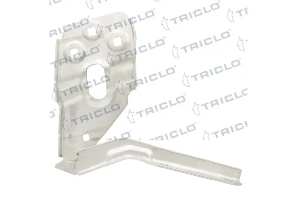 Motor Kaput Menteşesi Sağ GKL 293035