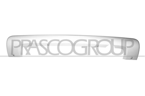 Tampon Kaplaması Arka PULO P2-PT08BS