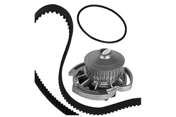 Triger Kayış Seti  Volkswagen Polo II (867/871/873)(10.1981->1992)  AIRTEX WPK-139701