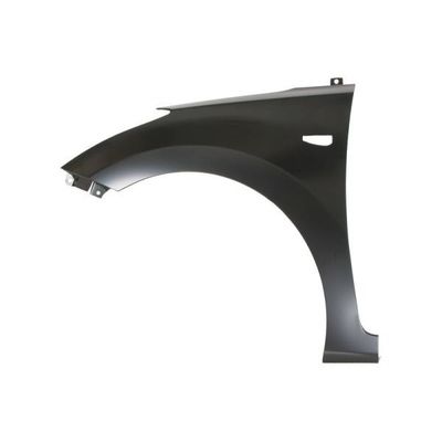 Çamurluk Ön Sol MOBIS 663113X050