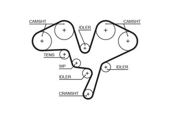 Triger Kayışı  GATES 5602XS  81689 0816.89 9632959380 816H3 0816.H3 816A0 0816.A0 081689 0816A0 0816H3 96182679 96183375 9618337580 96329593