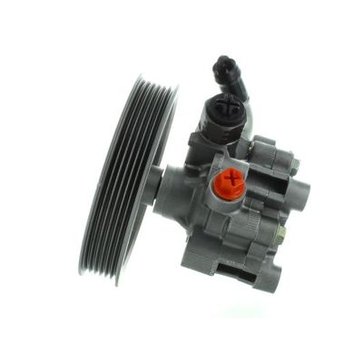 Direksiyon Pompası  SPIDAN GKNY10141