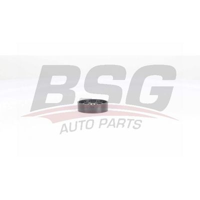 Vantilatör Kayış Gergi Rulmanı  Fiat Palio (178) Weekend (1997->)  BSG 25-615-001