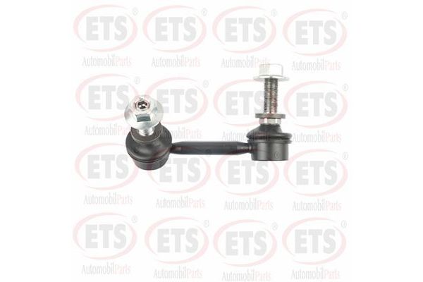 Viraj Demir Askı Rotu Arka Sol RIW NS4104A