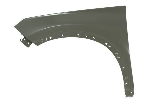 Çamurluk Ön Sol EUROBUMP BYD08SE006