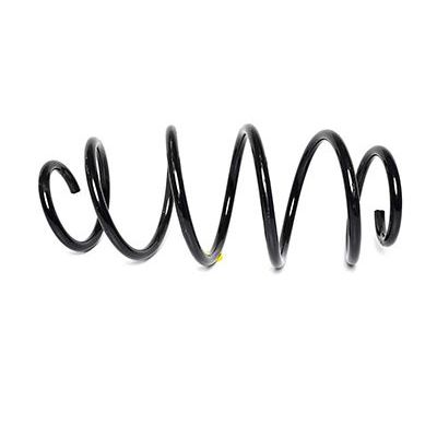 Helezon Yayı Ön BSG 30-305-023