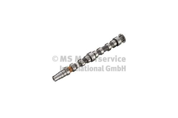 Eksantrik Mili  INA 428 0172 10