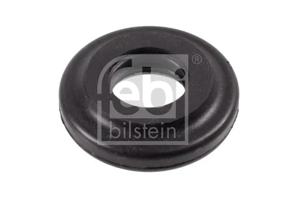 Külbütör Kapağı Cıvatası  FEBI BILSTEIN 24321