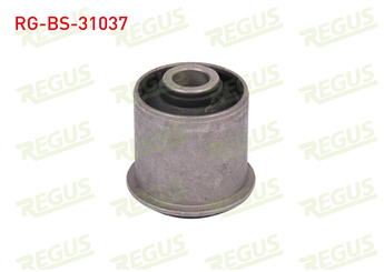 Salıncak Burcu Ön Alt Sağ veya Sol REGUS RG-BS-31037  54524-2S486-54542-2S610