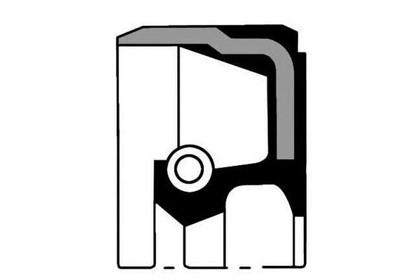 Eksantrik Keçesi  PAYEN NA5185