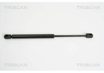 Bagaj Amortisörü Sağ veya Sol SWAPP 87123  8200119497 8200 119 497