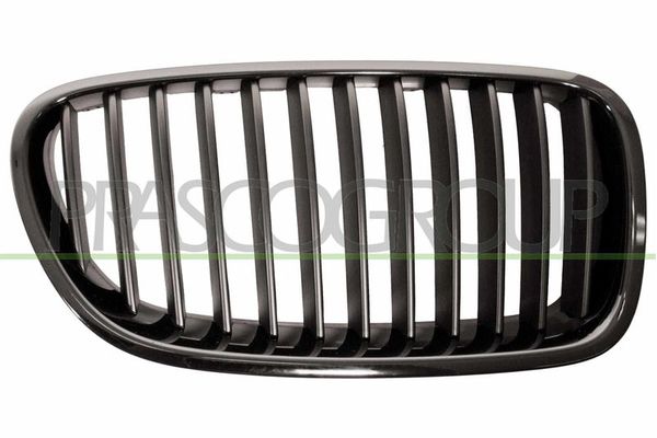 Panjur Ön Sağ BMW 5 Serisi Sedan (F10)(08.2010->)  TW 2021-2341