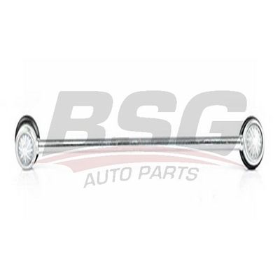 Viraj Demir Askı Rotu Ön Sağ Citroen C3 Picasso (12.2008->)  ORJİN 01007