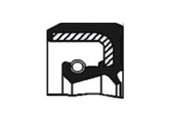 Eksantrik Keçesi  SKT 47383-S  