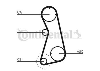 Triger Kayışı  CONTINENTAL CT872  48109119G 048109119G 36109119 036109119 48109119C 048109119C