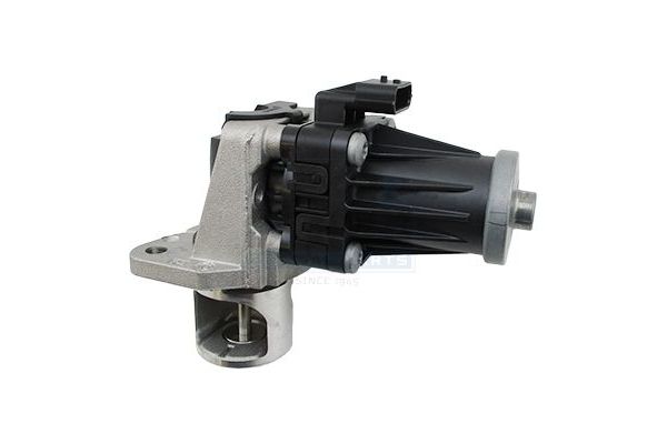 Egr Valfi  Nissan Micra (K14)(01.2017->)  RENAULT ORJINAL 147107172R