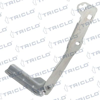 Motor Kaput Menteşesi Sol Dacia Sandero (06.2008->)  BITAPART BDA276005