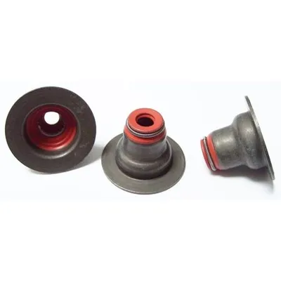 Supap Lastiği  Opel Mokka X (2016->)  ELRING 061.760