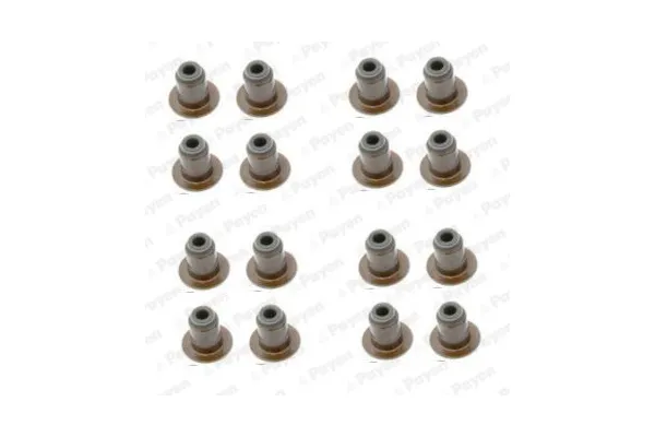 Supap Lastiği  Citroen Jumper Kamyonet (06.2014->)  FIAT ORJINAL 500395378