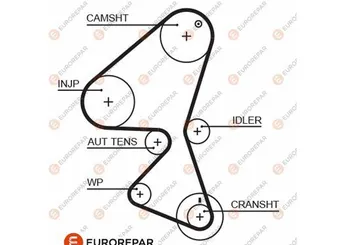 Triger Kayışı  EUROREPAR 1633144080  816E6 0816E6 816E7 0816E7 1145950 1346473 1489119 2S6Q6K288AA 2S6Q6K288AB 2S6Q6K288AC Y40112205 Y40112205A Y40112205B 96371229 9637122980 96371235 9637123580 9653226080 9653226280 SU00100544