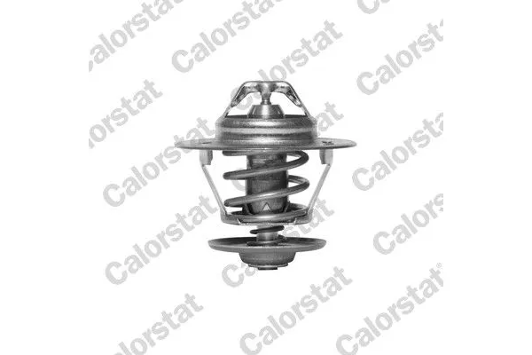 Termostat  WAHLER 4255.87D