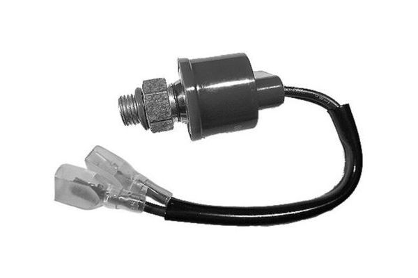 Klima Basınç Müşürü  MAHLE ASW 19 000S