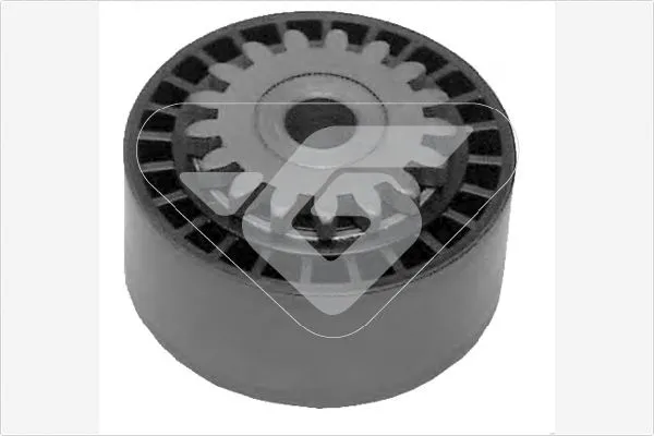 Vantilatör Kayış Gergi Rulmanı  Renault Clio I Faz III (04.1996->)  BMS 431