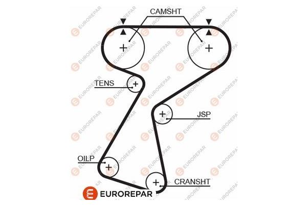 Triger Kayışı  Renault Clio I Faz I / II (B/C57)(01.1991->)  EUROREPAR 1633138180
