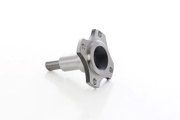 Porya Arka Sağ veya Sol Ford Focus 3/4/5 Kapı (CAK)(1998->)  BSG 30-470-012