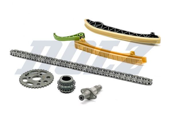 Triger Zincir Seti  DOLZ SKCM046