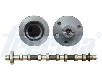 Eksantrik Mili  RENAULT ORJINAL 130203792R  130203792R 647199 1300100Q0A 1300100Q0H 13020689R 43198463 93161683 93198463 4435074 1302006289R 130206289R 8200456103 8200827922