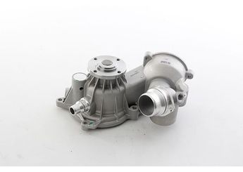 Devirdaim Su Pompası  BSG 15-500-055  