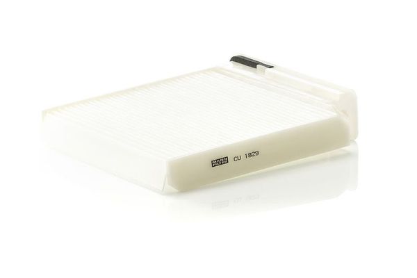 Polen Filtresi  Dacia Logan (05.2005->)  FROW 207.2007.004