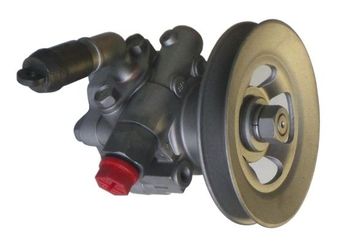 Direksiyon Pompası  SPIDAN 54689  49110VK513 49110-VK513 49110VK95A 49110-VK95A