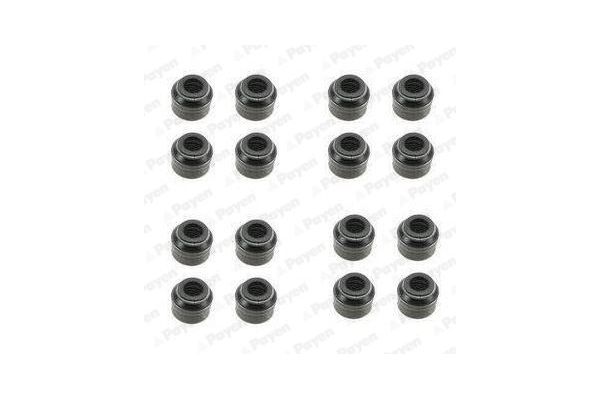 Supap Lastiği  PAYEN HR5048