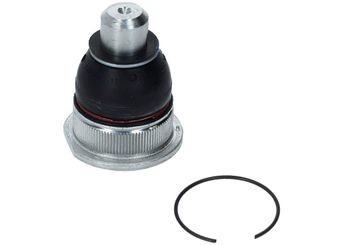 Rotil Alt Sağ veya Sol VOTTO 11-10103  545048506R 401604793R 40 16 047 93R 6001547519 60 01 547 519 6001547520 60 01 547 520 6001549181 60 01 549 181 6001549182 60 01 549 182 6001550446 60 01 550 446 6001550447 60 01 550 447 6001550909 60 01 550 909 6001550910 60 01 550 910 6001550911 60 01 550 911 6001550912 60 01 550 912 8200298454 82 00 298 454 8200298455 82 00 298 455 8200346941 82 00 346 941 8200346942 82 00 346 942 8200457208 82 00 457 208 8200457209 82 00 457 209 8200615057 82 00 615 057 8200615058 82 00 615 058 8200679063 82 00 679 063 8200679067 82 00 679 067 8200744091 82 00 744 091 8200744092 82 00 744 092 401605723R 40 16 057 23R 401609626R 40 16 096 26R 545040131R 54 50 401 31R 545045743R 54 50 457 43R 545046162R 54 50 461 62R 545046817R 54 50 468 17R 54 50 485 06R 545048658R 54 50 486 58R 545049968R 54 50 499 68R 545050399R 54 50 503 99R 545050510R 54 50 505 10R 545052354R 54 50 523 54R 545053170R 54 50 531 70R 545055165R 54 50 551 65R 545055711R 54 50 557 11R 545059335R 54 50 593 35R