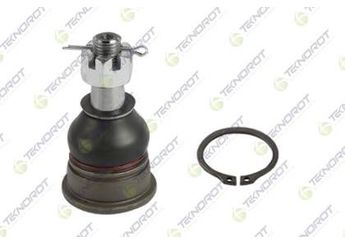 Rotil Alt Sağ veya Sol TEKNOROT N-202  4016050Y00 1N0099356 401600M010 401600M020 4016050Y02 4016050Y0R 4016050Y10 4016050Y20 4016052U10 4016052Y00 4016052Y10 4016052Y20 4016052Y60 4016060Y00 4016060Y10 4016060Y20 4016069Y00 4016069Y10 40160F4200 40160Y02G0 4016152Y10