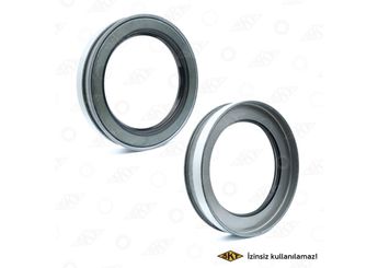 Aks Keçesi  SKT 410032  2000E1190C 1267215