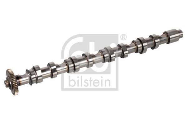 Eksantrik Mili  FEBI BILSTEIN 171969