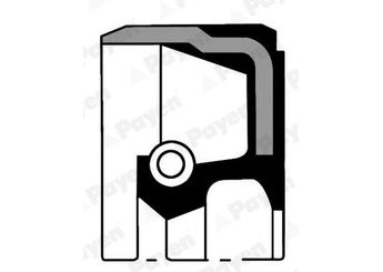 Krank Keçesi Ön PAYEN NA5069  638196 60603436 0638196 90500805 9543455