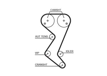 Triger Kayışı  GATES 5582XS  816C8 0816C8 0816.C8 96354383 9635438380 96354384 9635438480