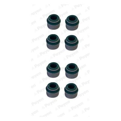 Supap Lastiği  Citroen C3 (09.2009->)  PAYEN HR816