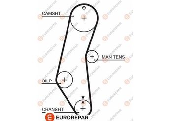 Triger Kayışı  EUROREPAR 1633139580  4452647 4250074 71739899 5889247