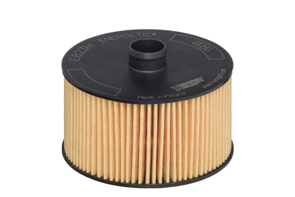 Yağ Filtresi  Renault Austral (07.2022->)  HENGST FILTER E823H D263