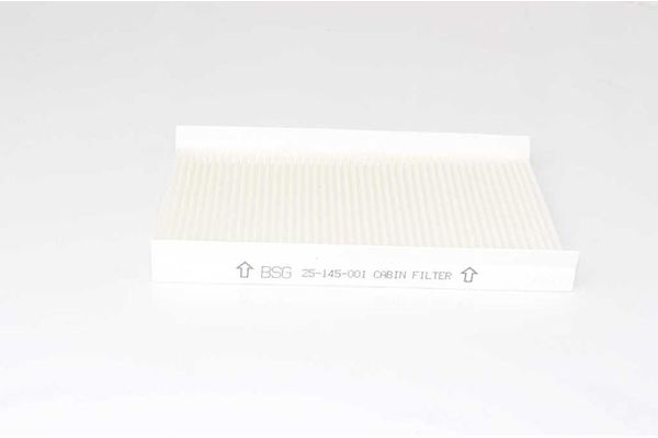 Polen Filtresi  Fiat Albea (2004->)  BSG 25-145-001