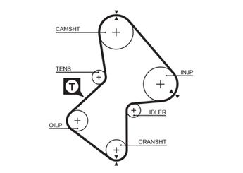 Triger Kayışı  GATES 5212XS  M819383 PMTB419 X819383 7700875520 30819383 7700875585