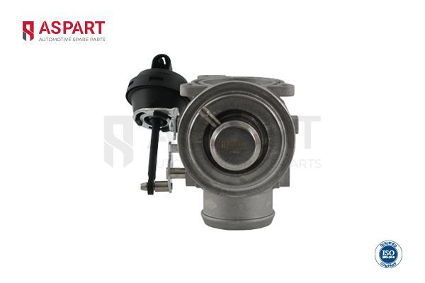 Egr Valfi  Volkswagen Polo III 2/4 Kapı (6N2)(10.1999->2001)  ASPART 5EVA1019