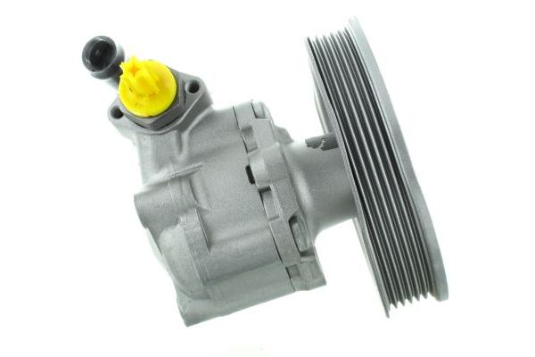 Direksiyon Pompası  SPIDAN GKNY10152