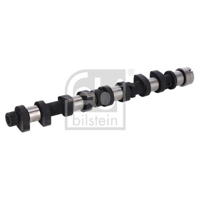 Eksantrik Mili  Citroen Xsara Coupe (07.1997->)  FEBI BILSTEIN 1006001